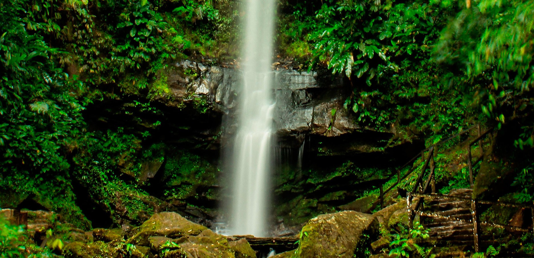 Galería Tarapoto