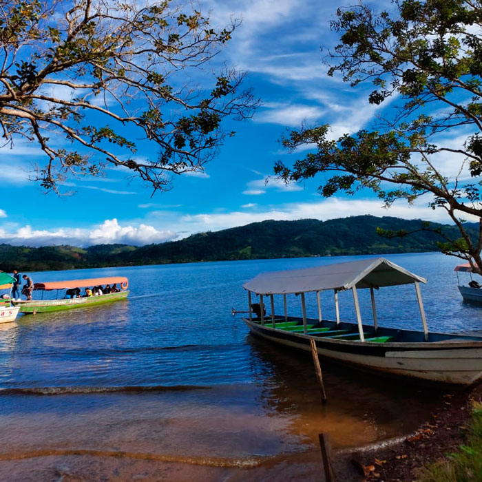 Galería Tarapoto